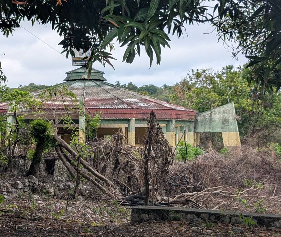 The old octagonal church building with a red and green roof and small cupola, seen through mango branches