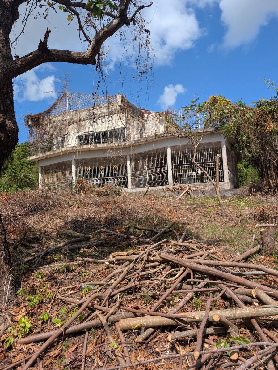 A two-storey concrete building with barred openings and a rooftop terrace, overgrown with vines, on a slope of recently cleared brush